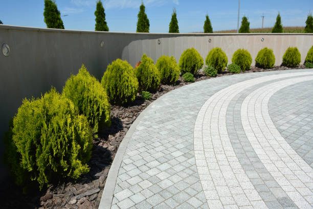 Best Custom Driveway Pavers  in Thompson Falls, MT